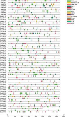 Genome-Wide Characterization and Expression Analysis of bZIP Gene Family Under Abiotic Stress in <mark class="highlighted">Glycyrrhiza uralensis</mark>